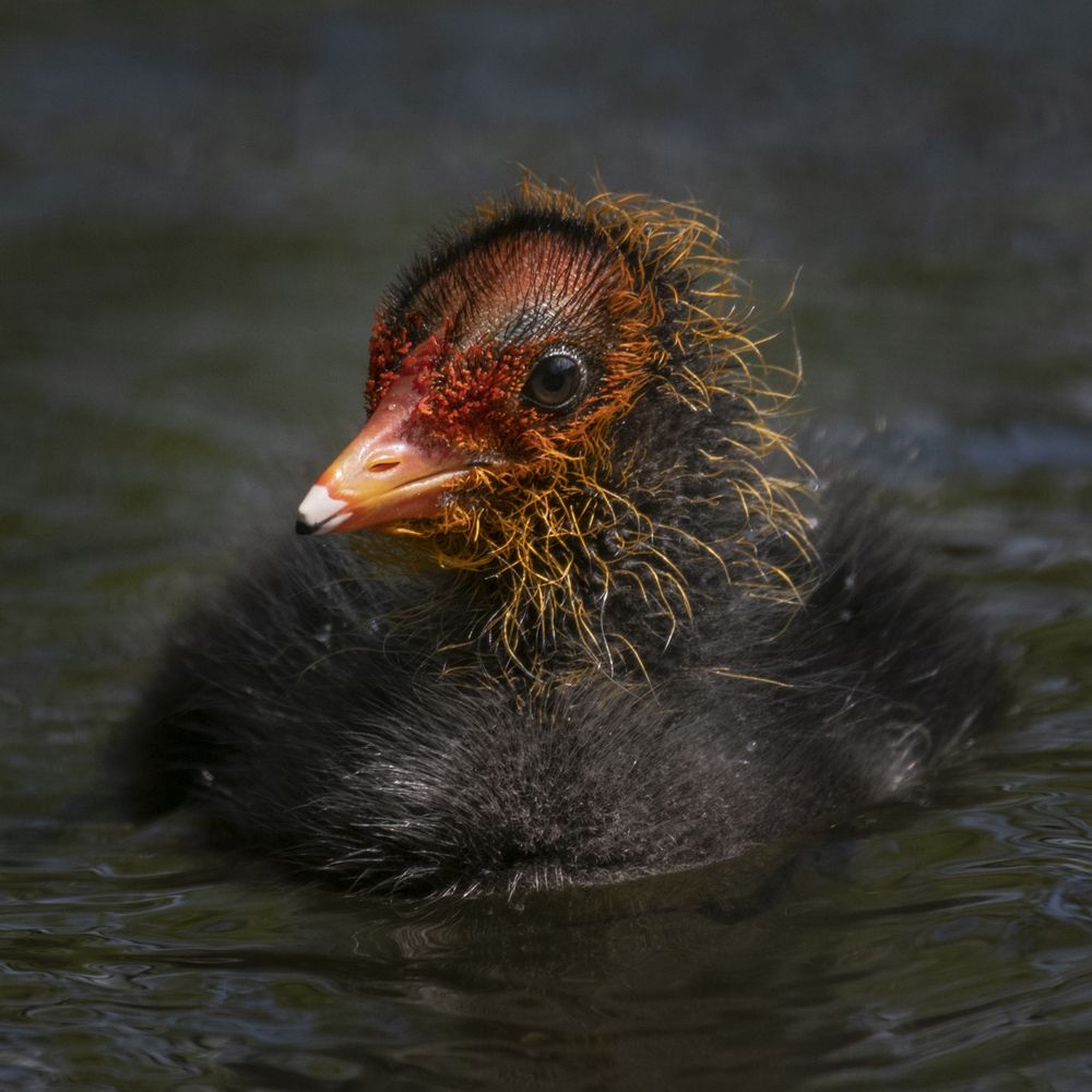 Photograph by Вадим Брыль