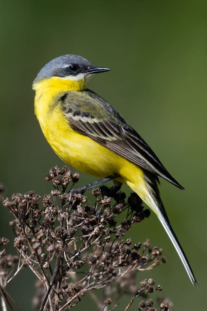 Photograph by Вадим Брыль