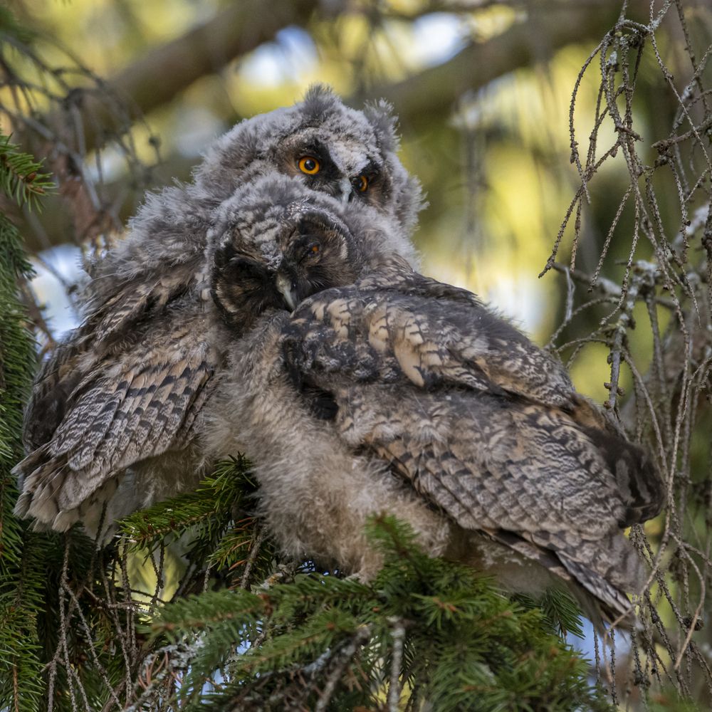 Photograph by Вадим Брыль