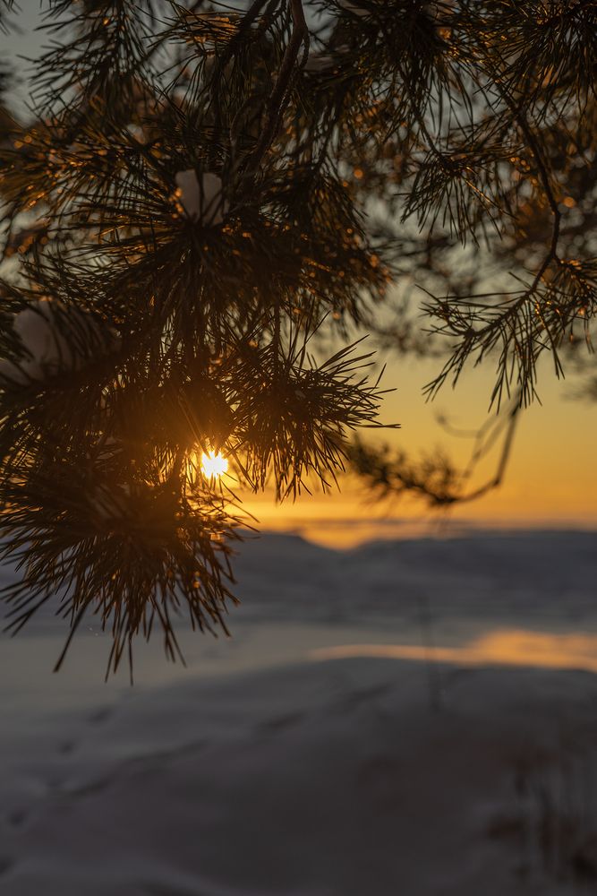 Photograph by Елена Фетисова