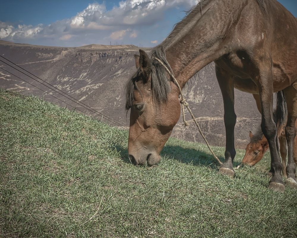 Фотография автора Askar Kashapov