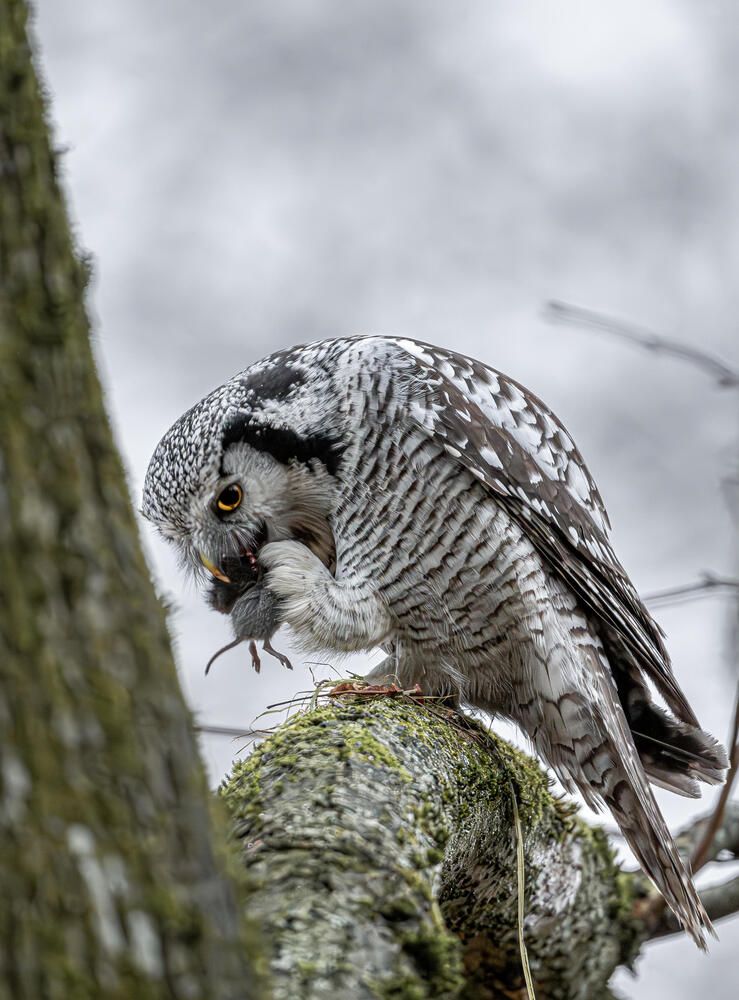 Photograph by Белов Александр