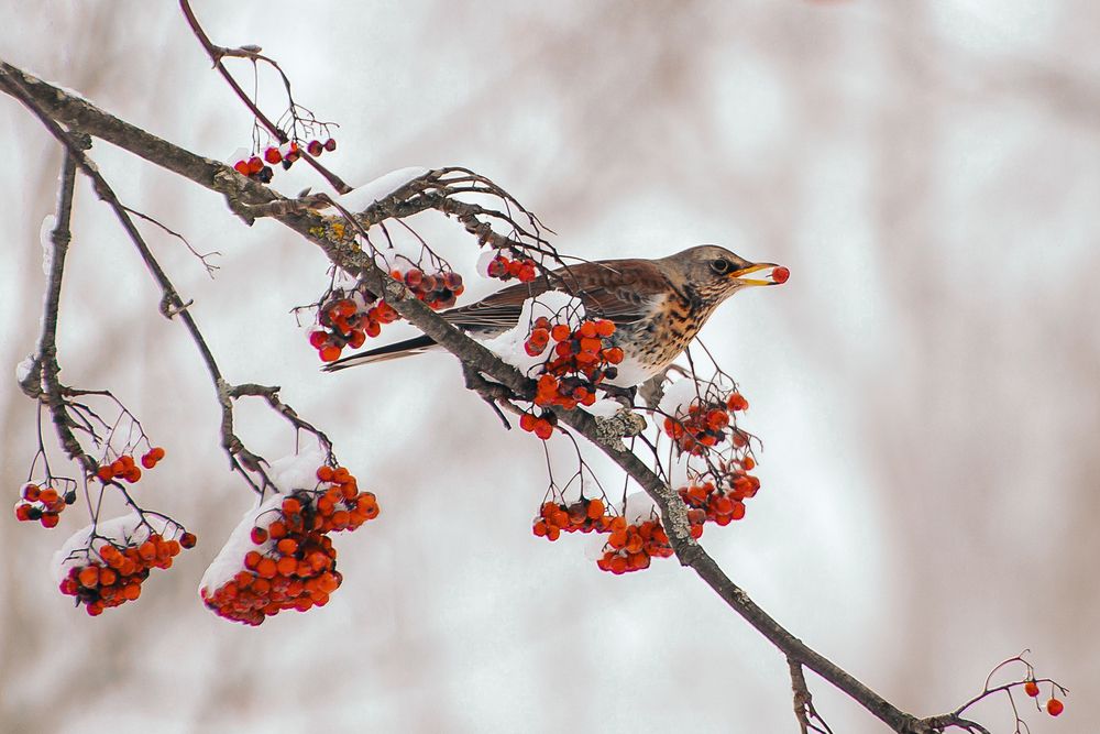 Photograph by Valeria Azamat