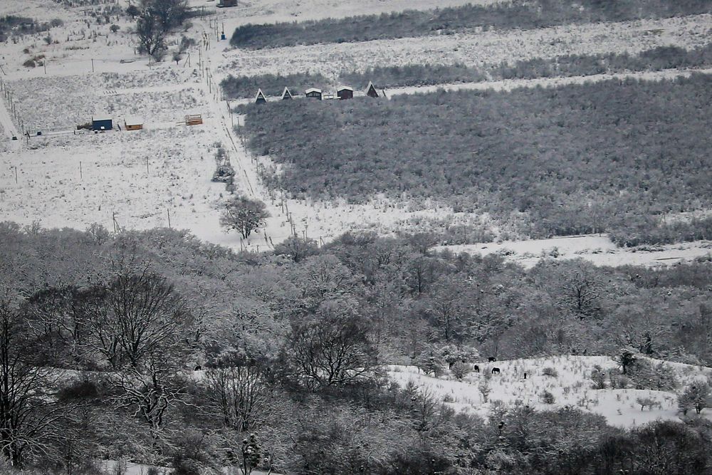 Фотография автора Дондокринчинов Бабжи
