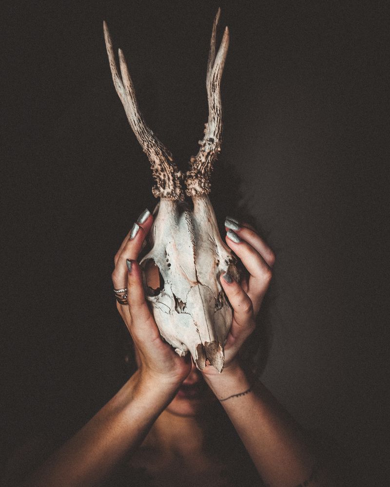 Фотография автора Алексей Парамзин