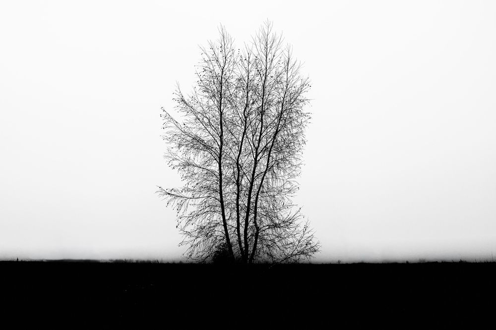 Photograph by Алексей Парамзин