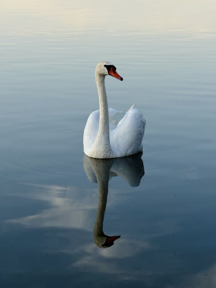 Photograph by Елизавета Хлусова