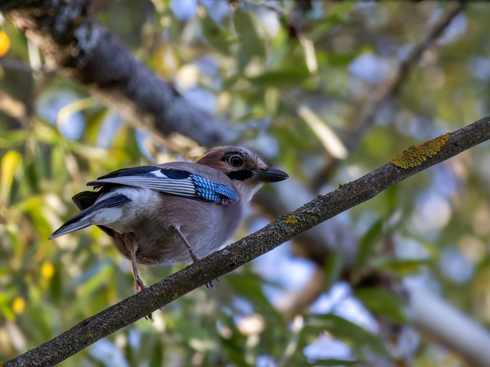 Photograph by Елизавета Хлусова