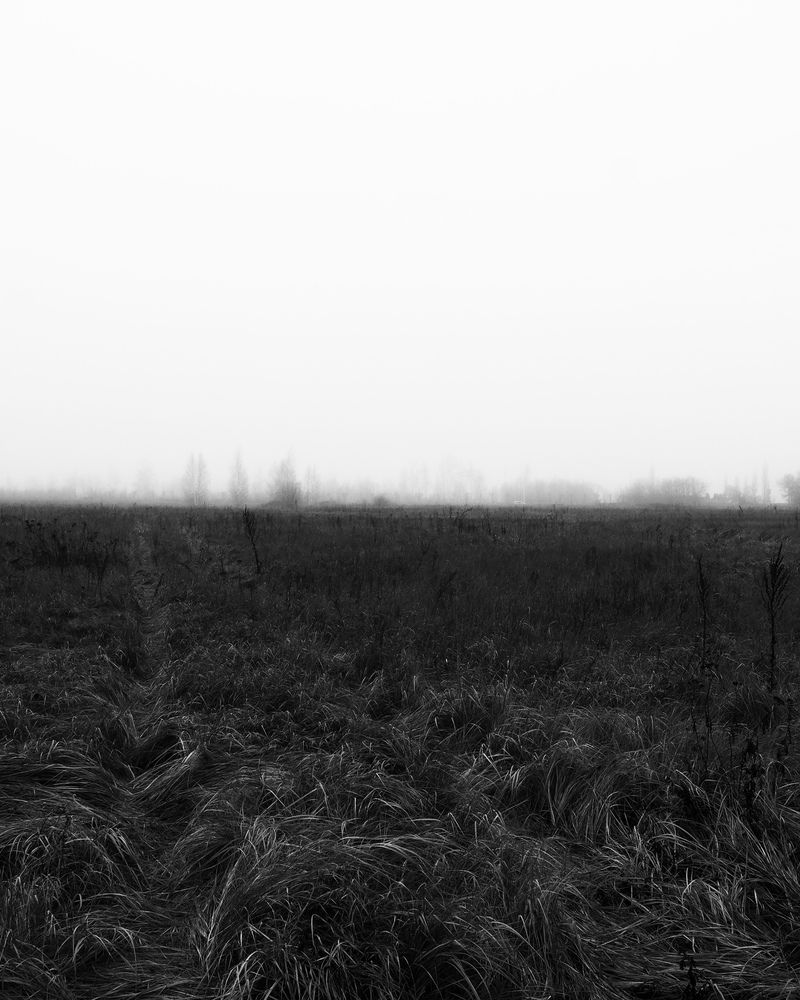 Photograph by Алексей Парамзин