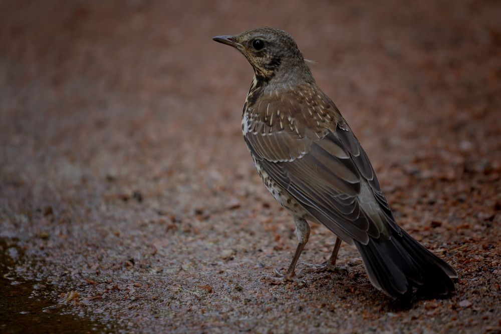 Photograph by Яна Егорова