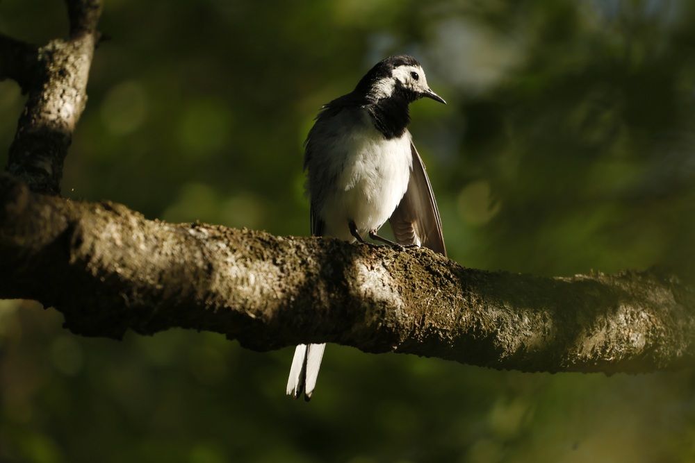 Photograph by Яна Егорова