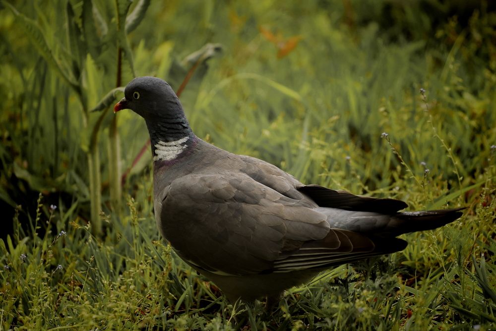Photograph by Яна Егорова