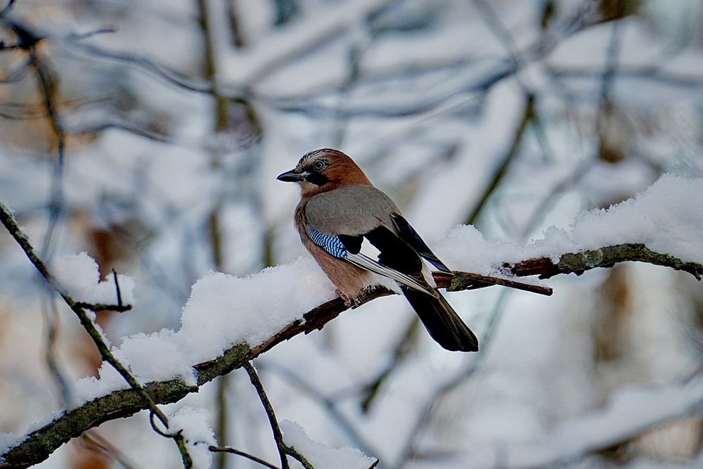 Photograph by Яна Егорова