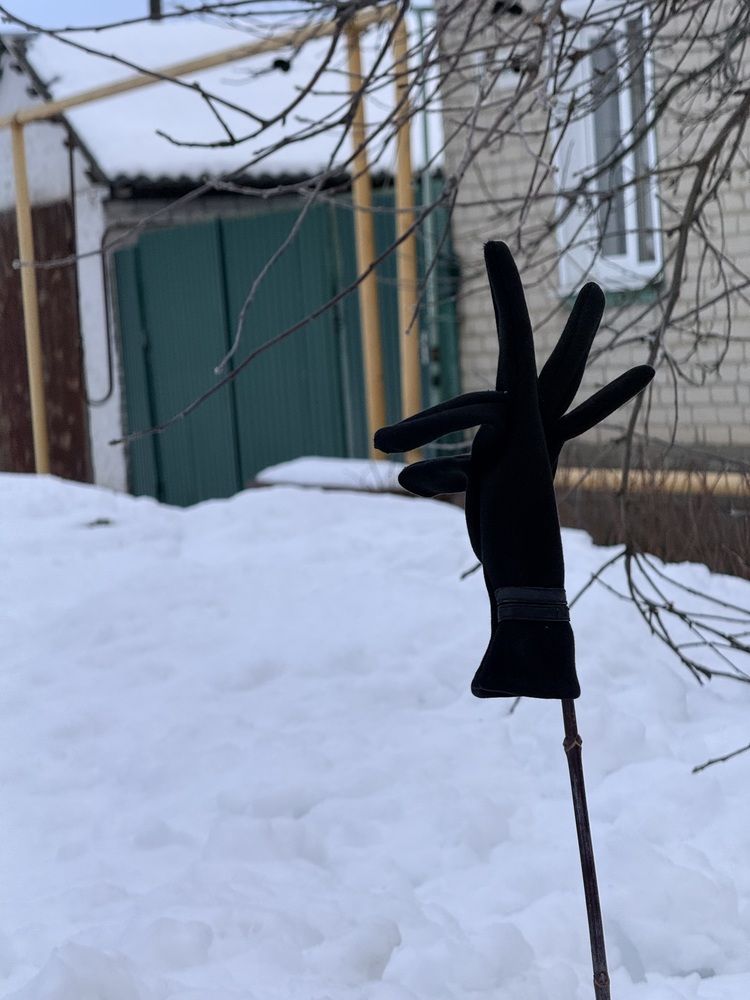 Фотография автора Татьяна