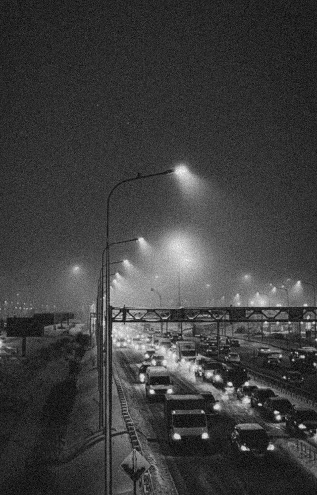 Фотография автора Регина Левикина