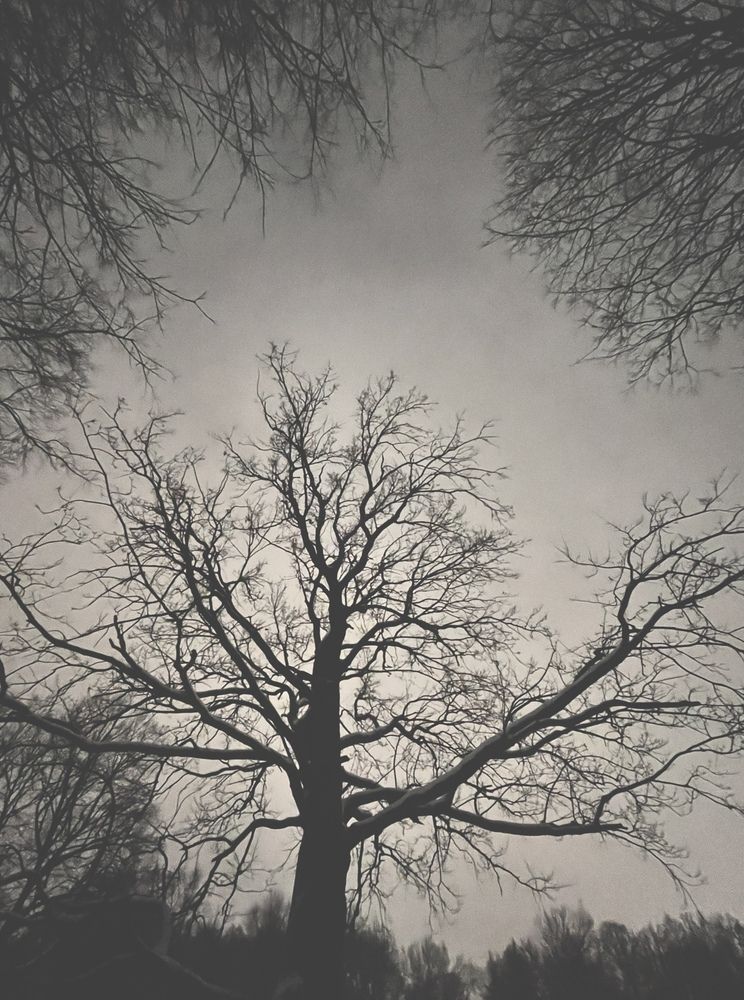 Фотография автора Регина Левикина