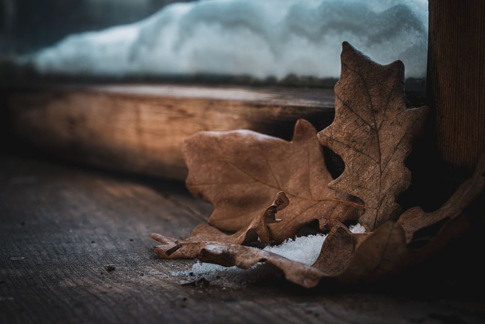 Photograph by Алексей Поликарпов