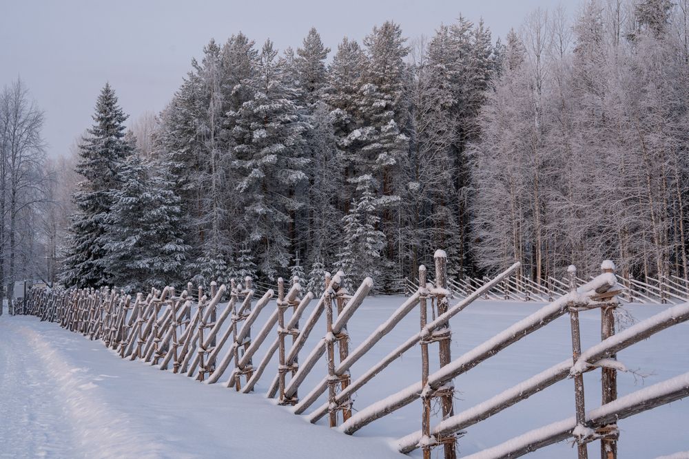 Photograph by Евгения Ковригина