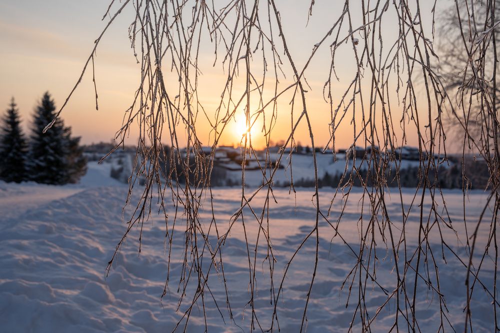 Photograph by Евгения Ковригина