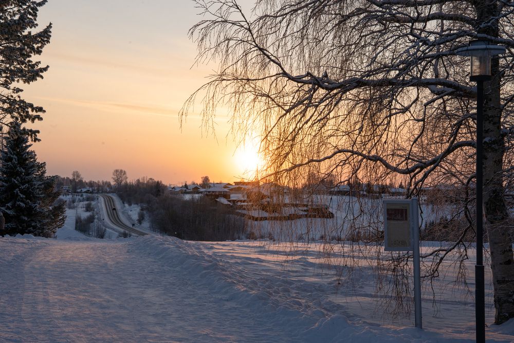 Photograph by Евгения Ковригина