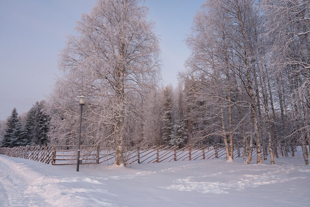 Photograph by Евгения Ковригина