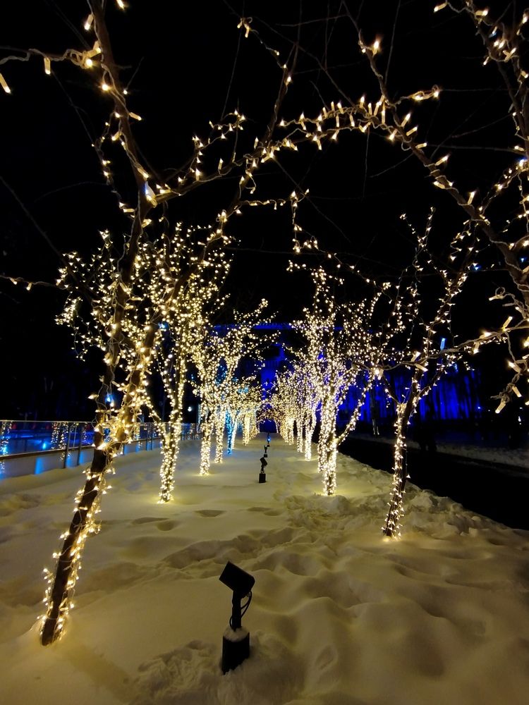 Photograph by Евгения Семёнова