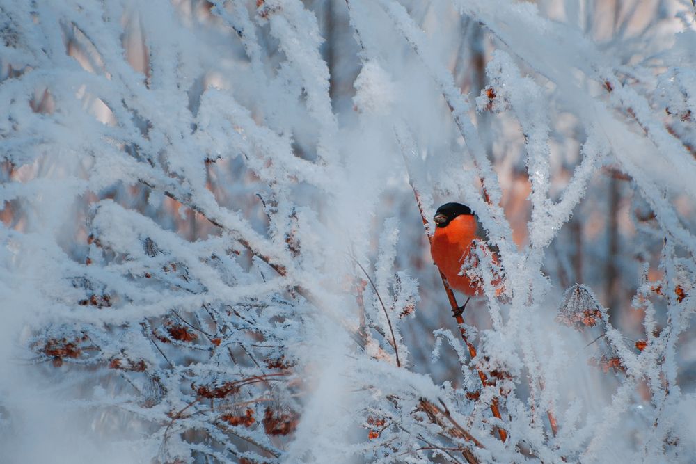 Photograph by Valeria Azamat