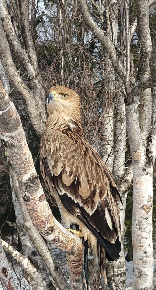 Photograph by Елена Александрова