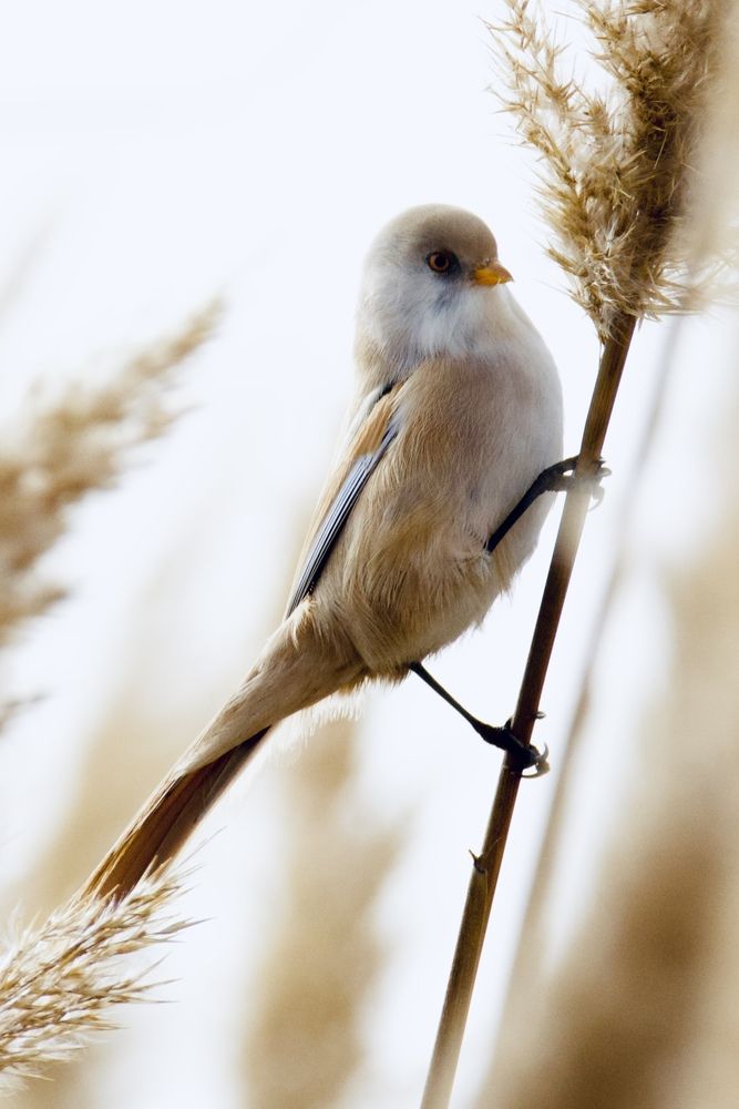 Photograph by Виктор Владимиров