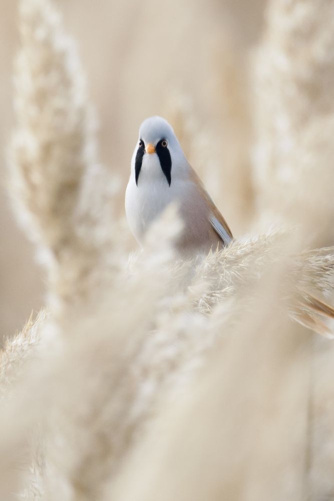 Photograph by Виктор Владимиров