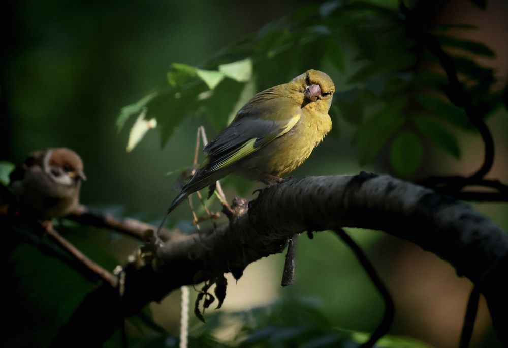 Photograph by Яна Егорова