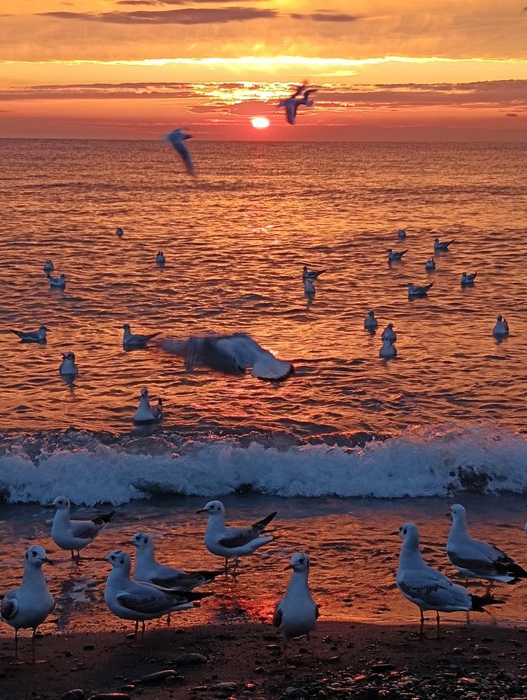 Photograph by Елена Александрова