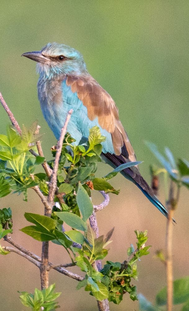 Photograph by Виктор Владимиров