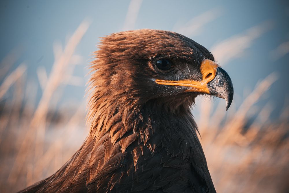 Photograph by Виктор Владимиров