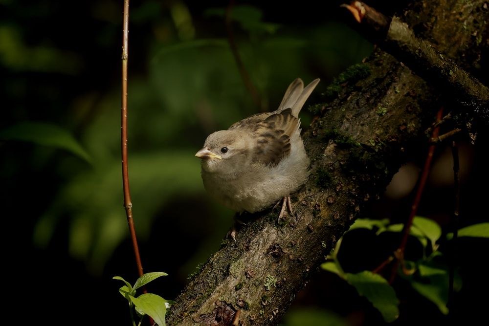 Photograph by Яна Егорова