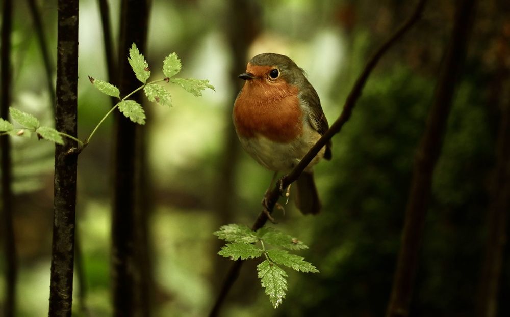 Photograph by Яна Егорова