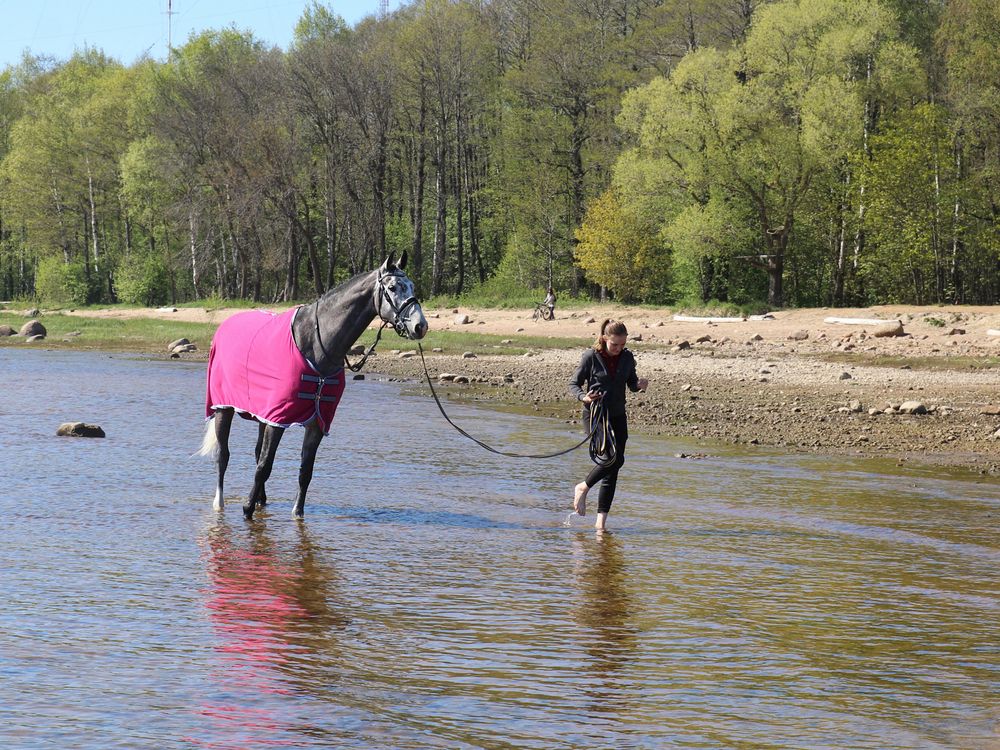 Photograph by Марианна Браун