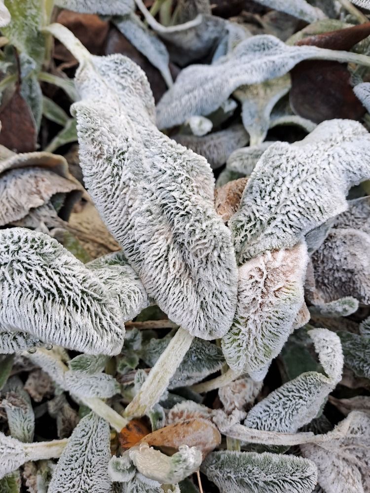 Photograph by Наташа