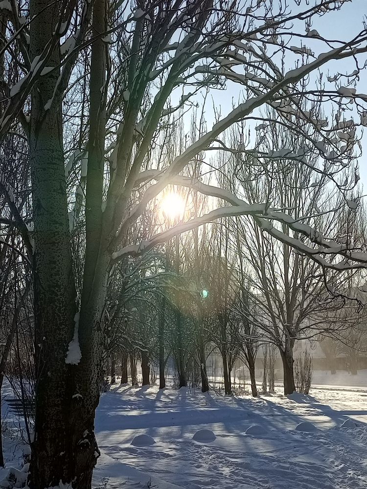 Photograph by Наталья Сырых