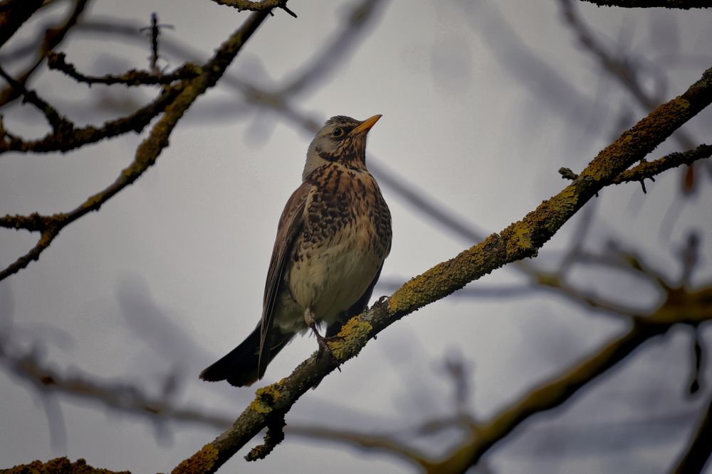 Photograph by Яна Егорова