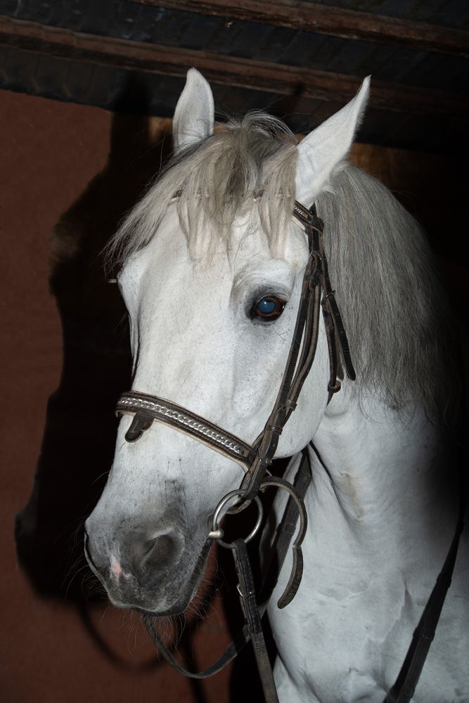 Photograph by Римма Волченко