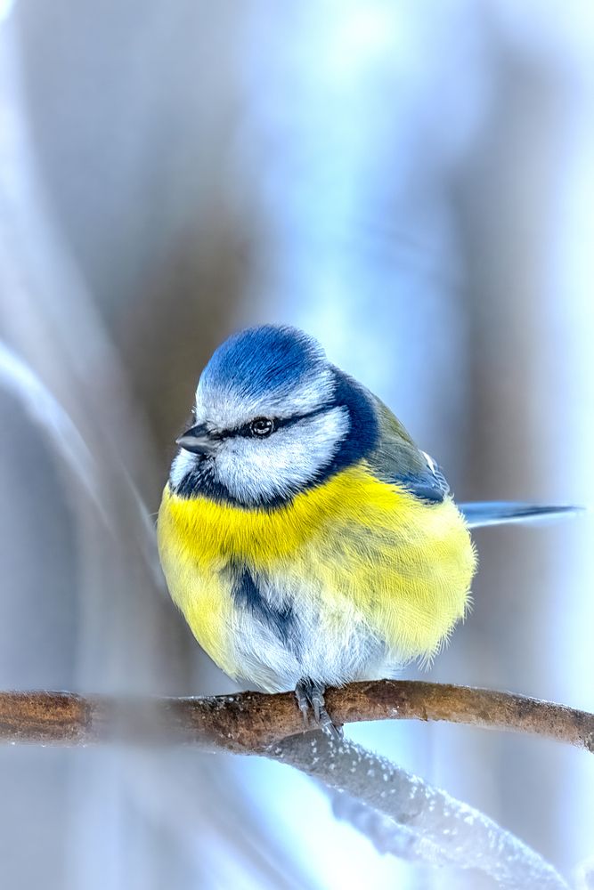 Photograph by Aleksandr Solovev