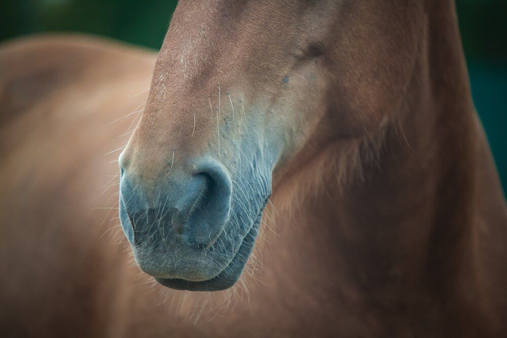 Photograph by Очева Наталья Александровна