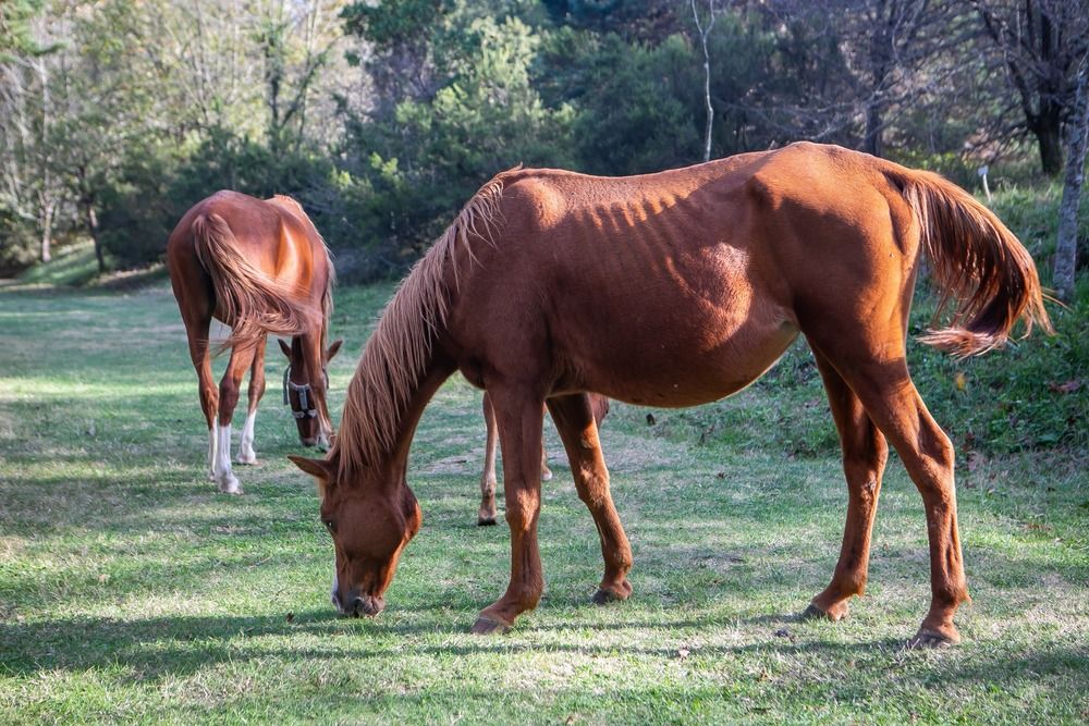 Photograph by Очева Наталья Александровна