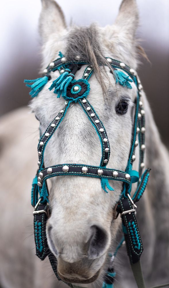 Photograph by Виталий Хромычев