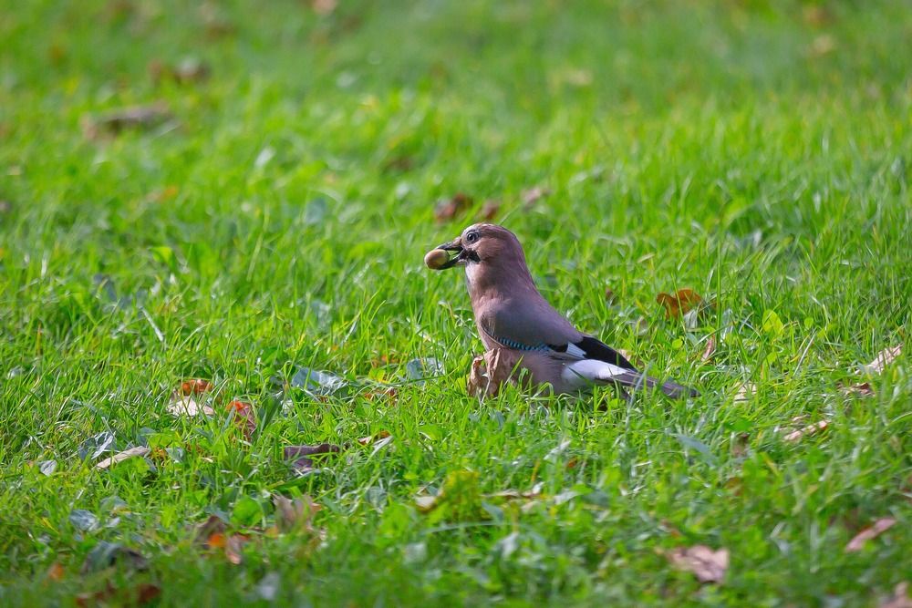 Photograph by Очева Наталья Александровна