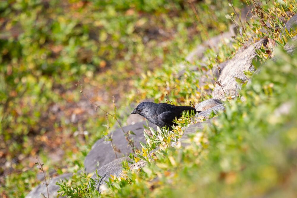 Photograph by Очева Наталья Александровна