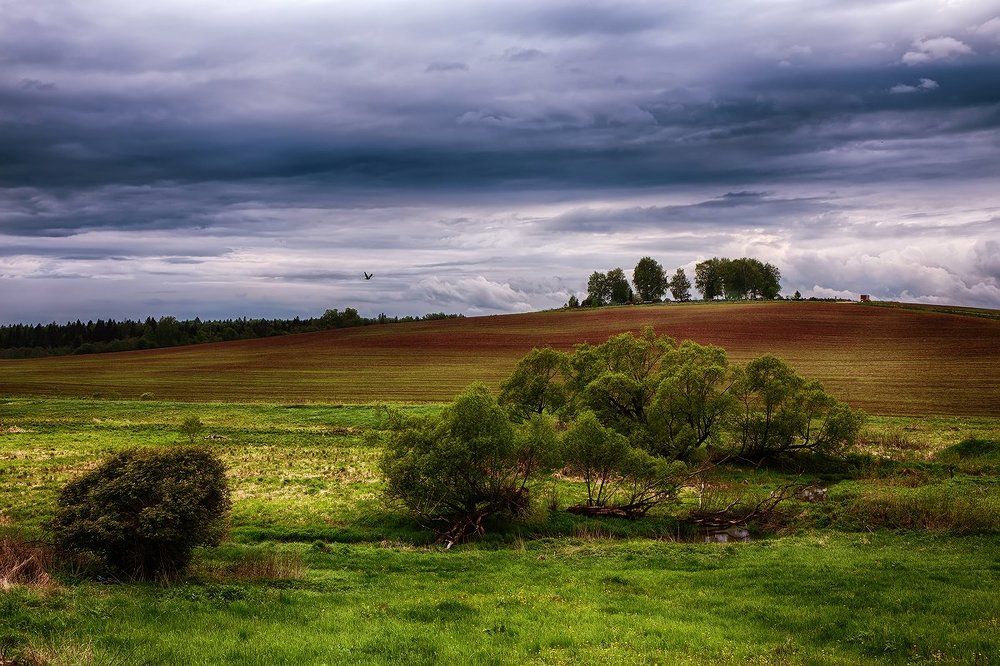 Журавль пролетел...