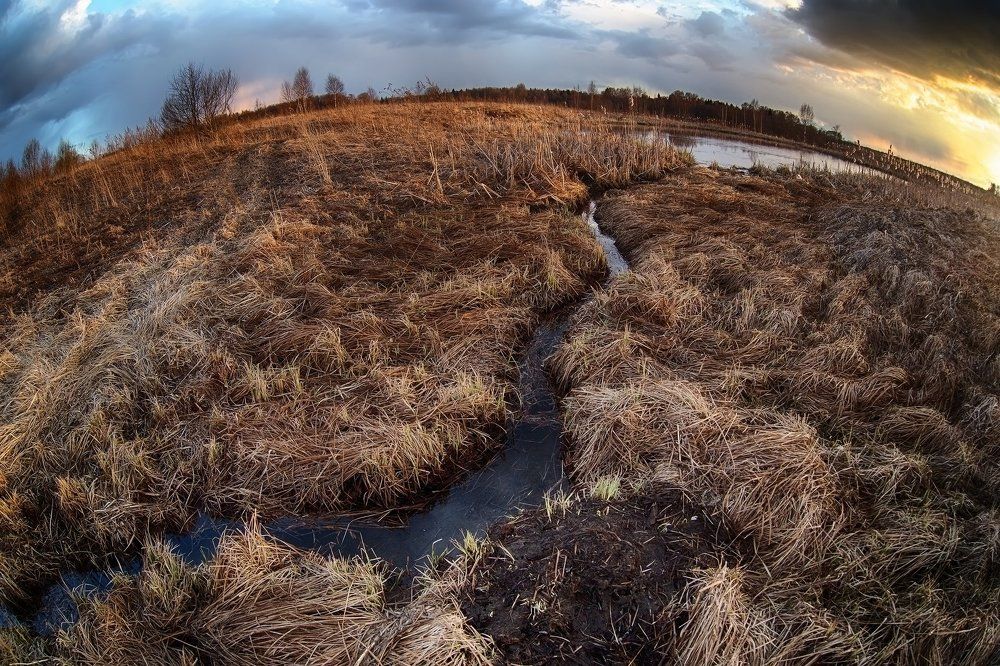 Журчат ручьи
