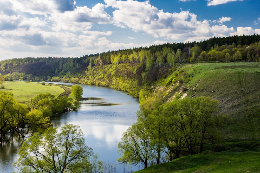 Яркий поворот